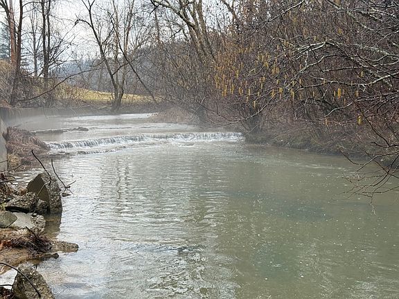 Left Fork of White Oak Creek along the southeast boundary and KY 1081