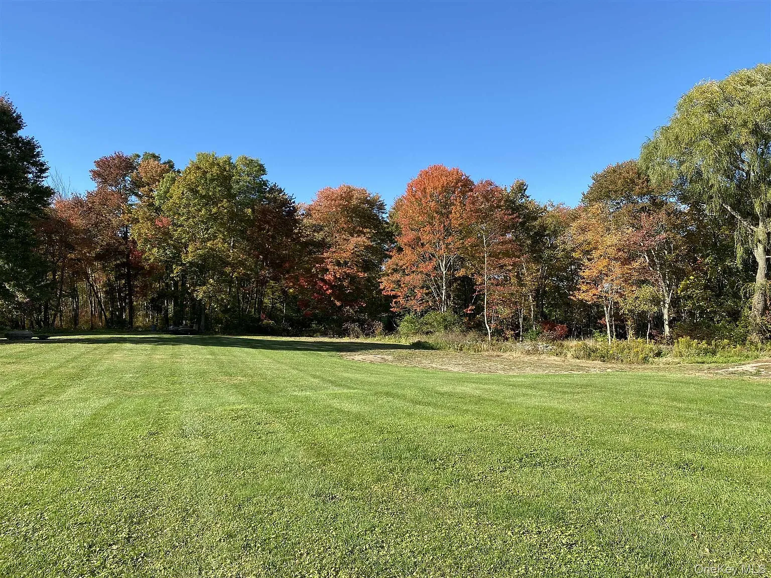 3 bed, 1.5 bath, 1300 sqft, $3,800 — Photo 4