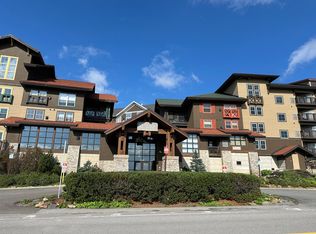 343 Rimfire Ldg, Snowshoe, WV 26209