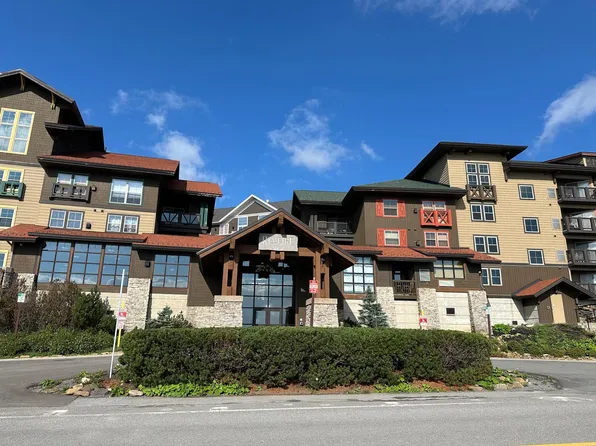 162 Rimfire Ldg, Snowshoe, WV 26209