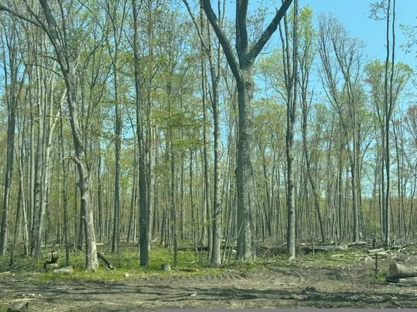 W Pine Dr, Roscommon, MI 48653