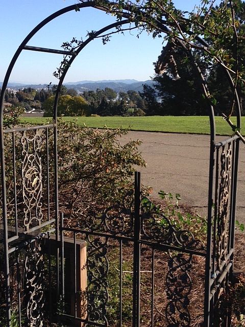 Garden and views
