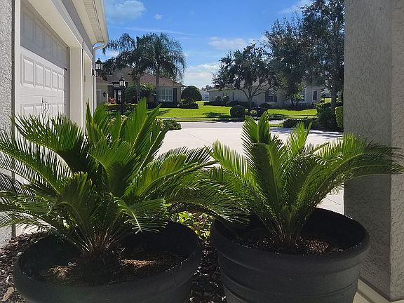 View From Front Porch