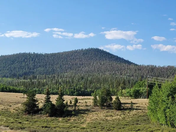 1630 Wampum Ln, Como, CO 80456