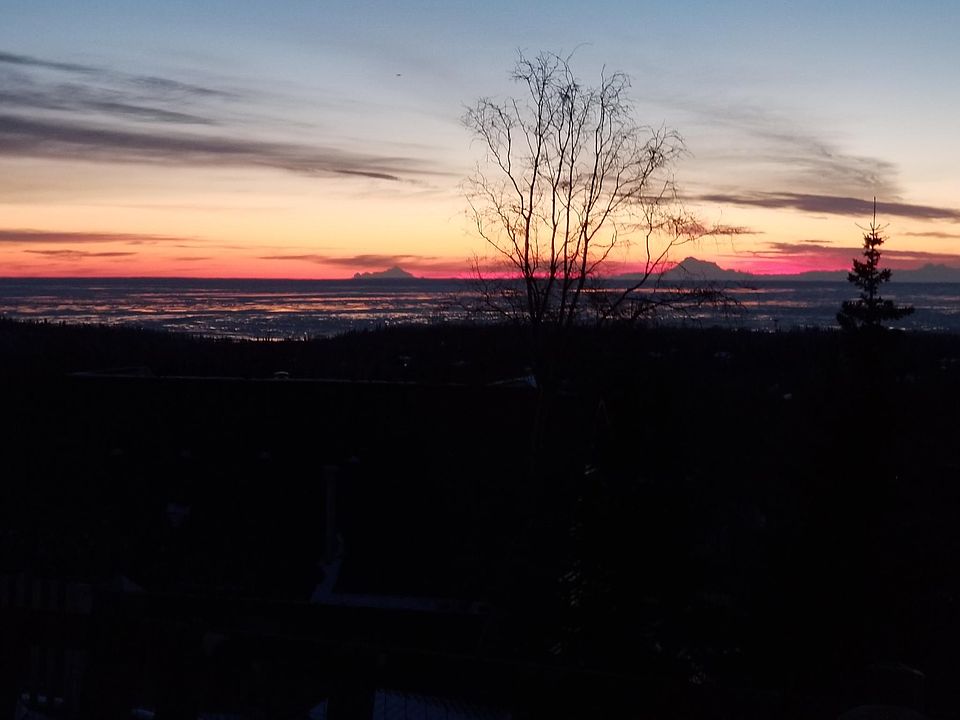 The view