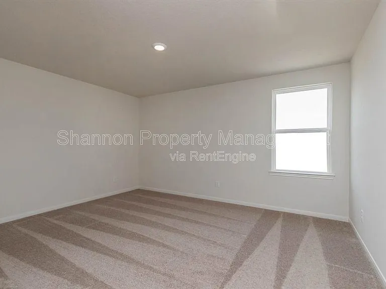 20722 Nala Bear Dr — Photo 16