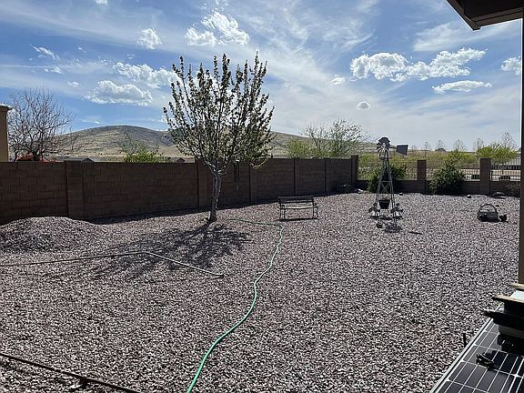 Back yard cherry tree