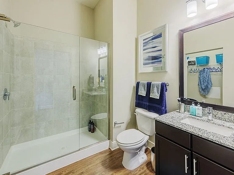 Luxurious Bathrooms