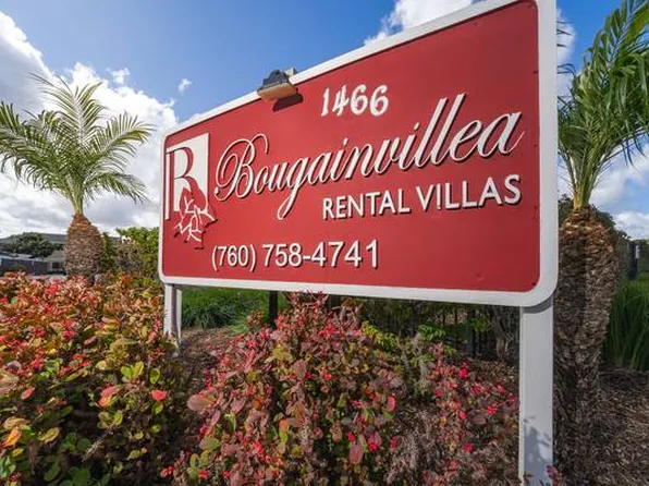 Bougainvillea