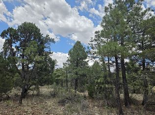 6373 Whispering Pine Dr, Happy Jack, AZ 86024