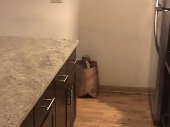 4th image of 2524 N Lincoln Ave #2