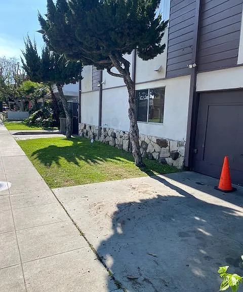 787 Gardenia Ave #3 — Photo 2