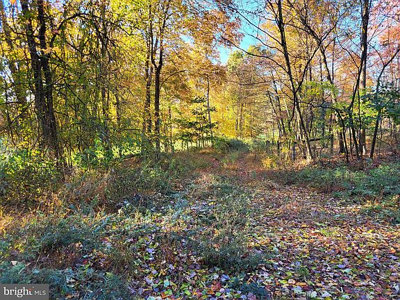 4th image of 1657 Ninemile Run Ln