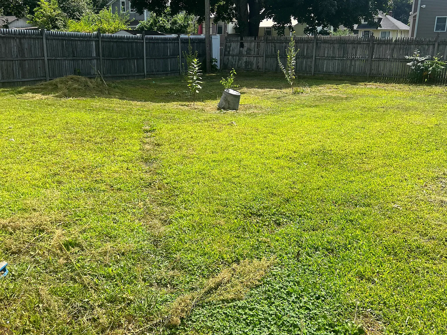 3 bed, 1016 sqft, $2,500 — Photo 2