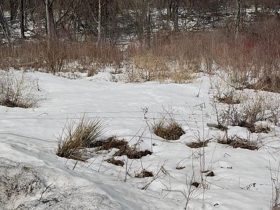 4th image of L-9 Hillside