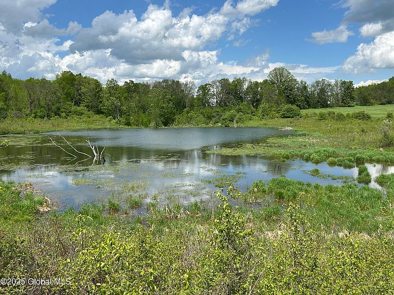 4th image of 103 Franklin Bellinger Road