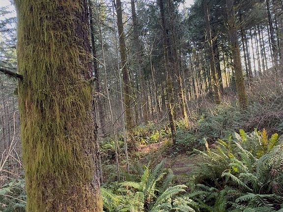 3rd image of 0 Seminary Hill Road