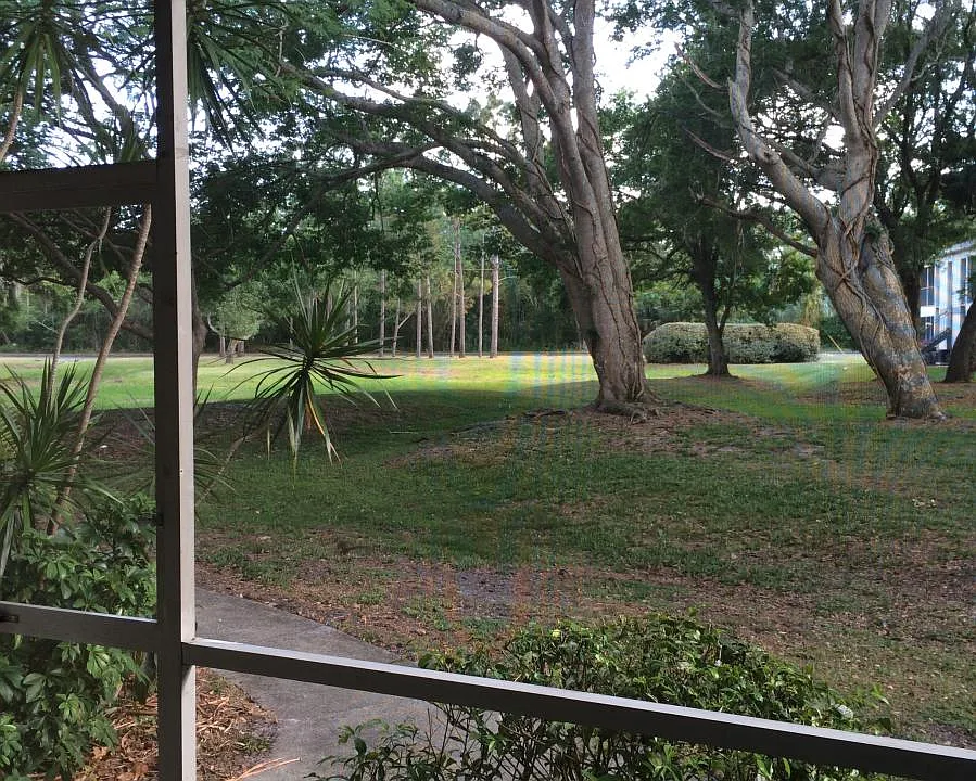view from screened in front porch