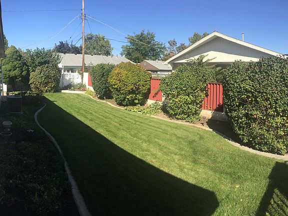 back yard