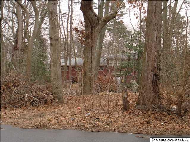 2nd image of 317 Cedar Grove Rd
