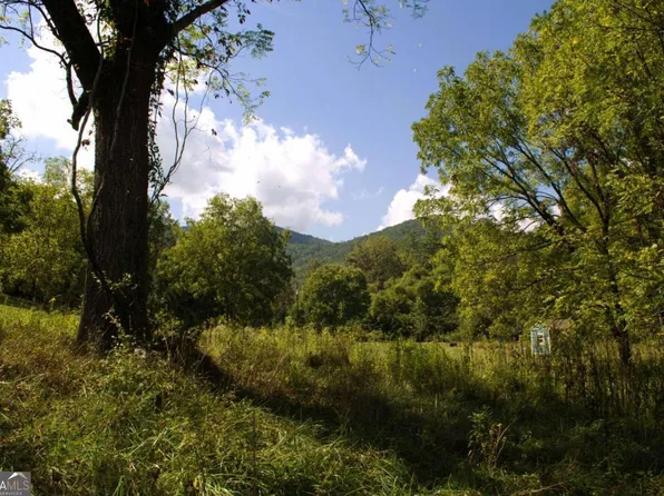 1 Fortenberry Rd, Blairsville, GA 30512