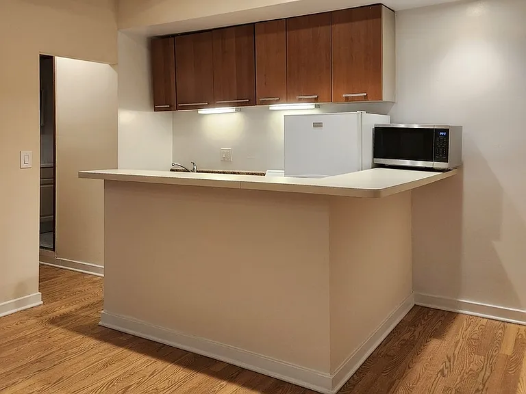 1504 N Dearborn Pkwy, Chicago, IL — Photo 85