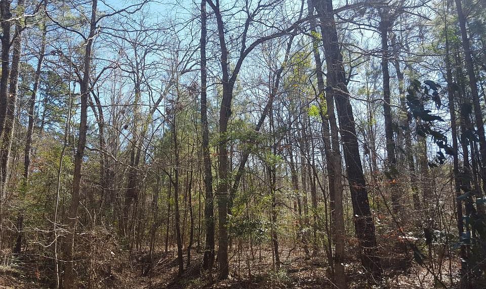 2nd image of County Road 422