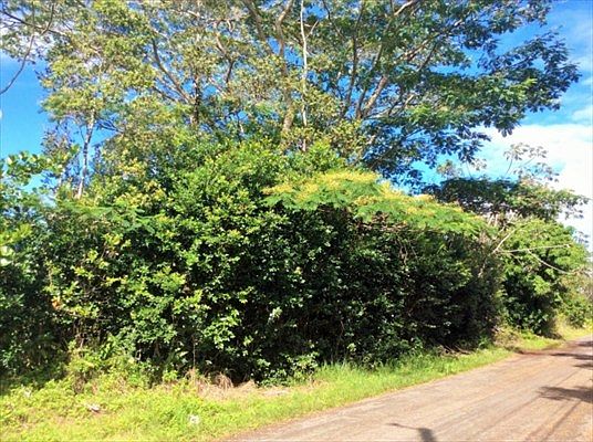 3rd image of Railroad Ave Lot 115