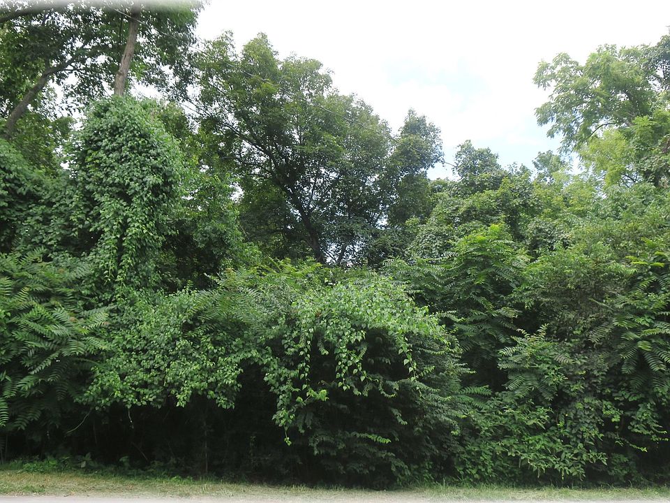 1st image of 465 Saddle Dr