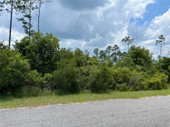 Apricot Avenue Lot #11, Eustis, FL 32736