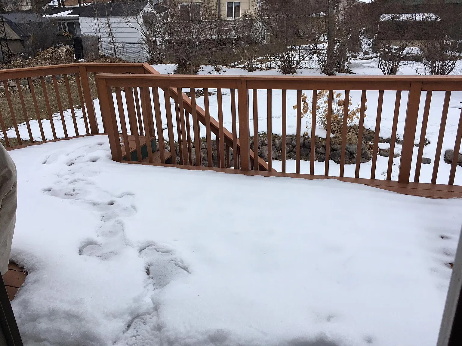 3 bed, 1340 sqft, $2,800 — Photo 4