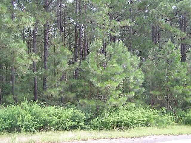 1st image of 396 Maderas Dr