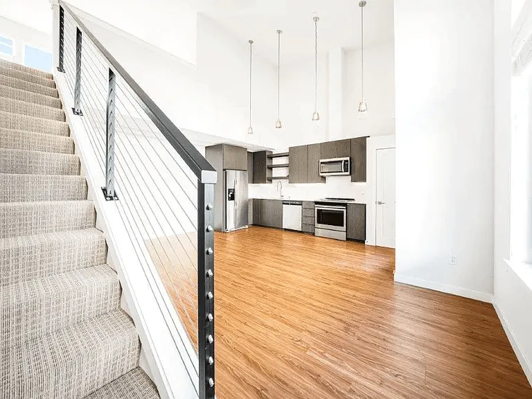 Blis — Photo 28