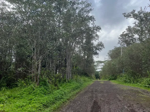 Road 10 Poouli Lot 5725, Kurtistown, HI 96760
