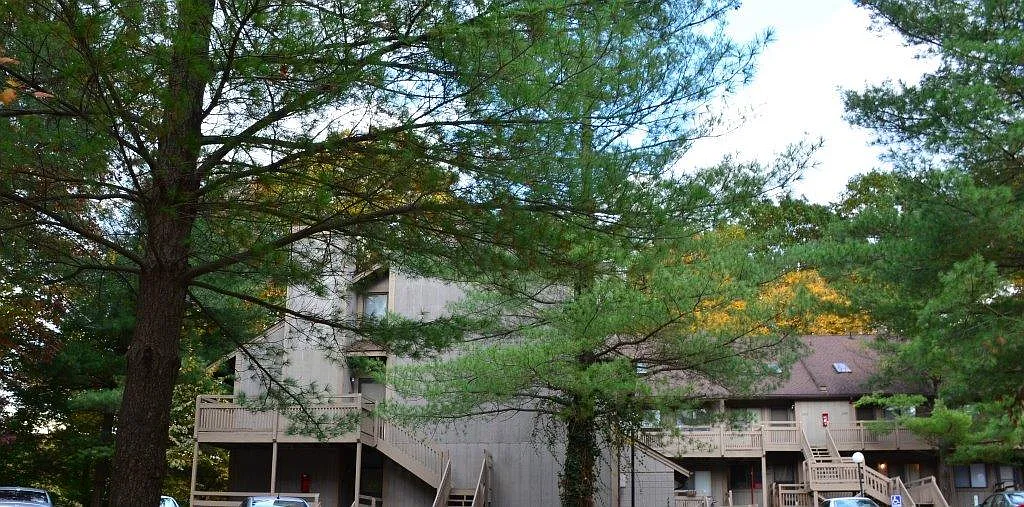 Pine Mill Ridge Apartments — Photo 3