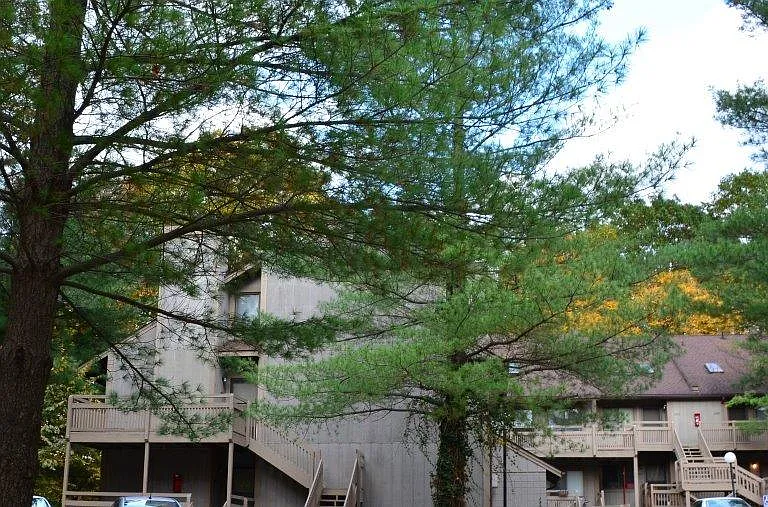 Pine Mill Ridge Apartments — Photo 3