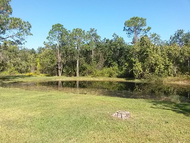 Your Own Socked Fish Pond!