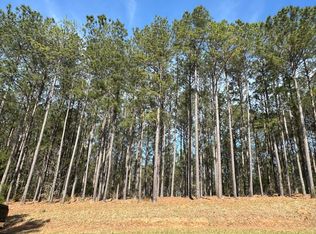 LOT 65 Maiden Cane Way Lot 65, Lincolnton, GA 30817