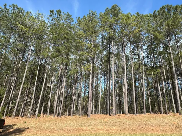 Lot 65 Maiden Cane Way, Lincolnton, GA 30817