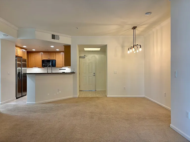 1390 Saddle Rack St #224 — Photo 2