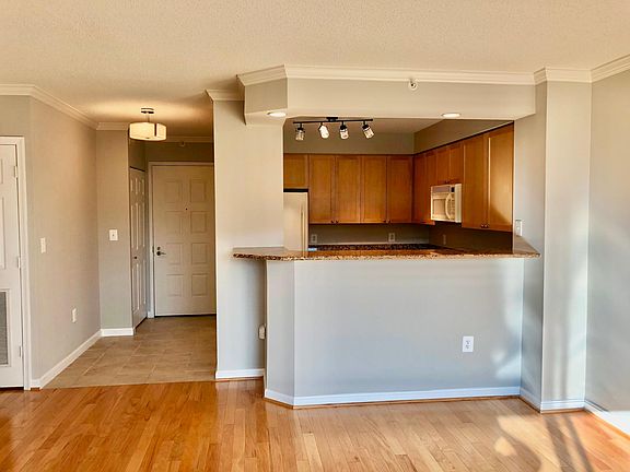5th image of 3101 N Hampton Dr APT 509