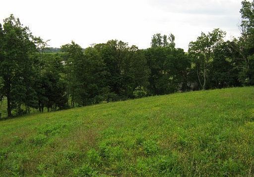2nd image of Hubbs Grove Rd