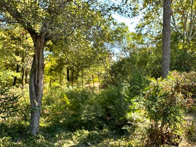 Lots Gray Cir, Hot Springs National Park, AR, 71913