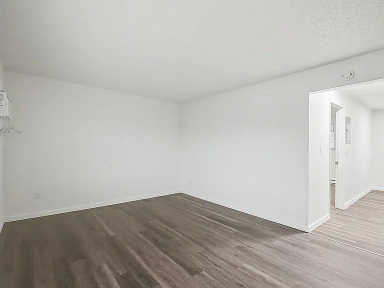 Chestnut Apartments — Photo 11