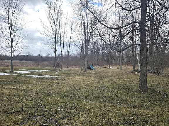 5th image of 10631 Maple Dr