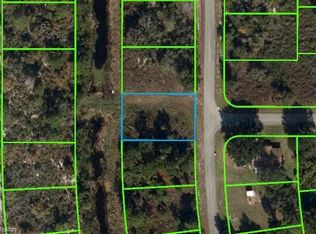 333 Roosevelt Ave NE, Lake Placid, FL 33852