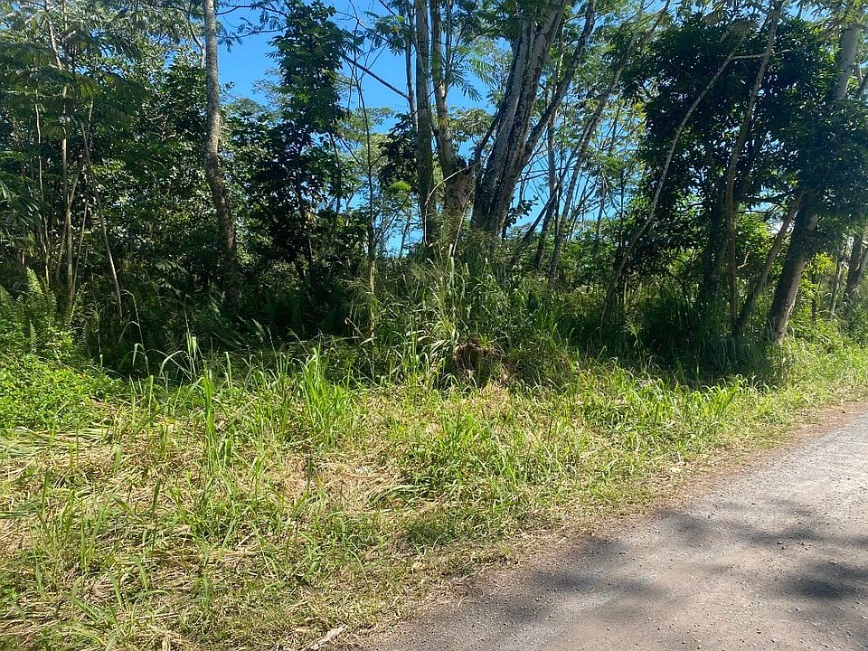 1st image of 8th Avenue Kahili Lot 1041