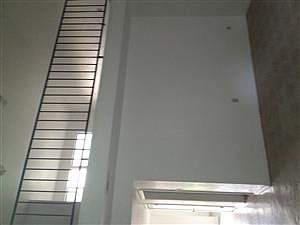 4th image of 12282 Wild Pine Dr Unit B