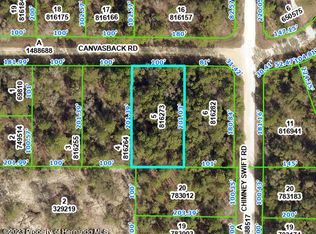 LOT 5 Canvasback Rd, Brooksville, FL 34614