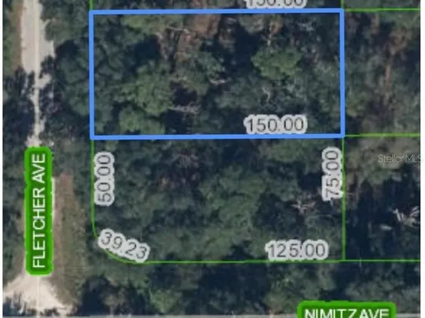 429 Fletcher Ave Lot 21, Lake Placid, FL 33852